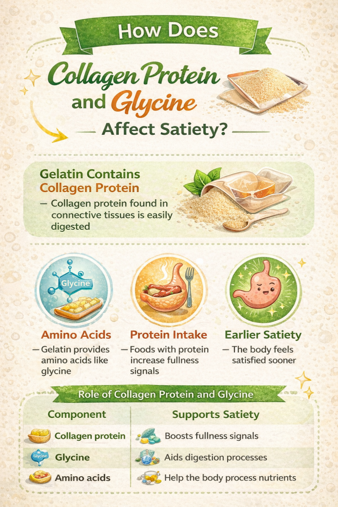 How Does the Gelatin Recipe for Weight Loss Work in the Body How Does the Gelatin Recipe for Weight Loss Work in the Body